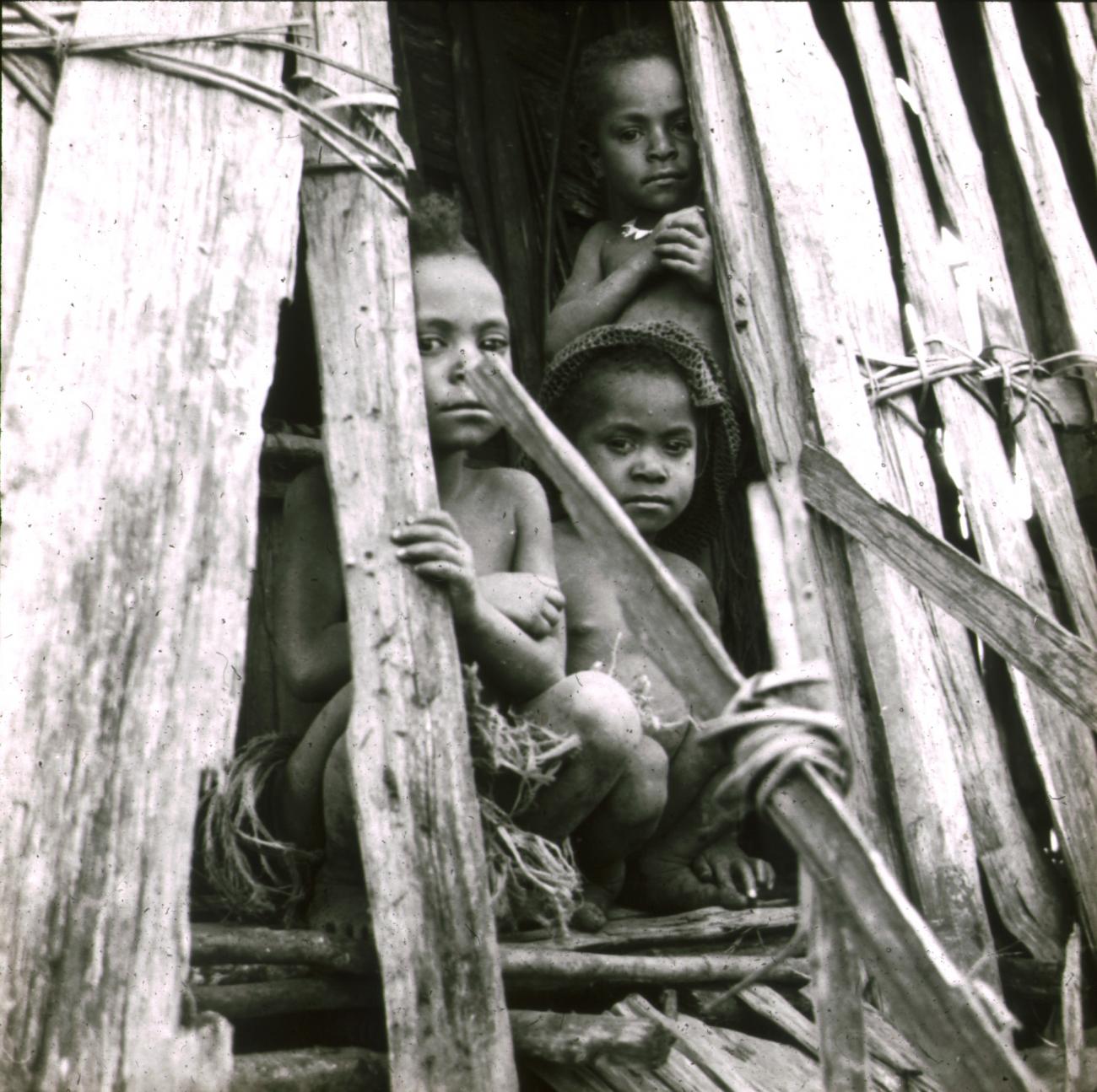 BD/329/24 - 
Drie Papoea- kinderen in de deuropening van een hut
