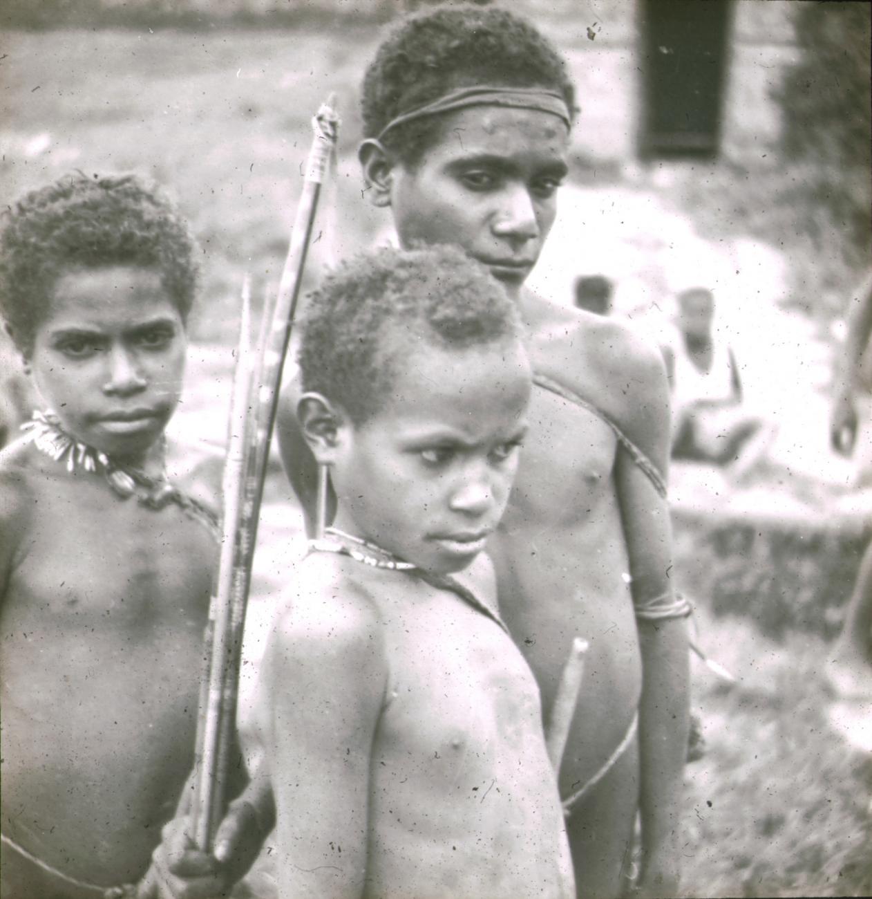 BD/329/39 - 
Drie Papoea-jongens met pijl-en-boog
