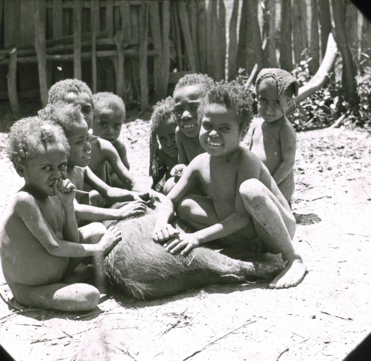 BD/329/3 - 
Papoea-kinderen poseren bij een dood varken
