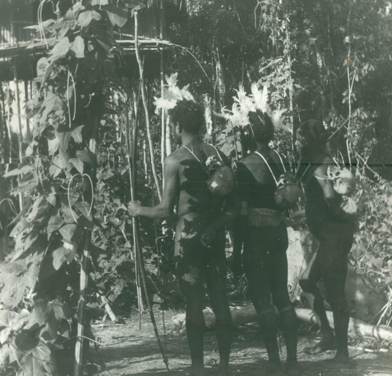 BD/40/88 - 
Papoea&#039;s met hoofdtooi en pijl en boog van de rug genomen
