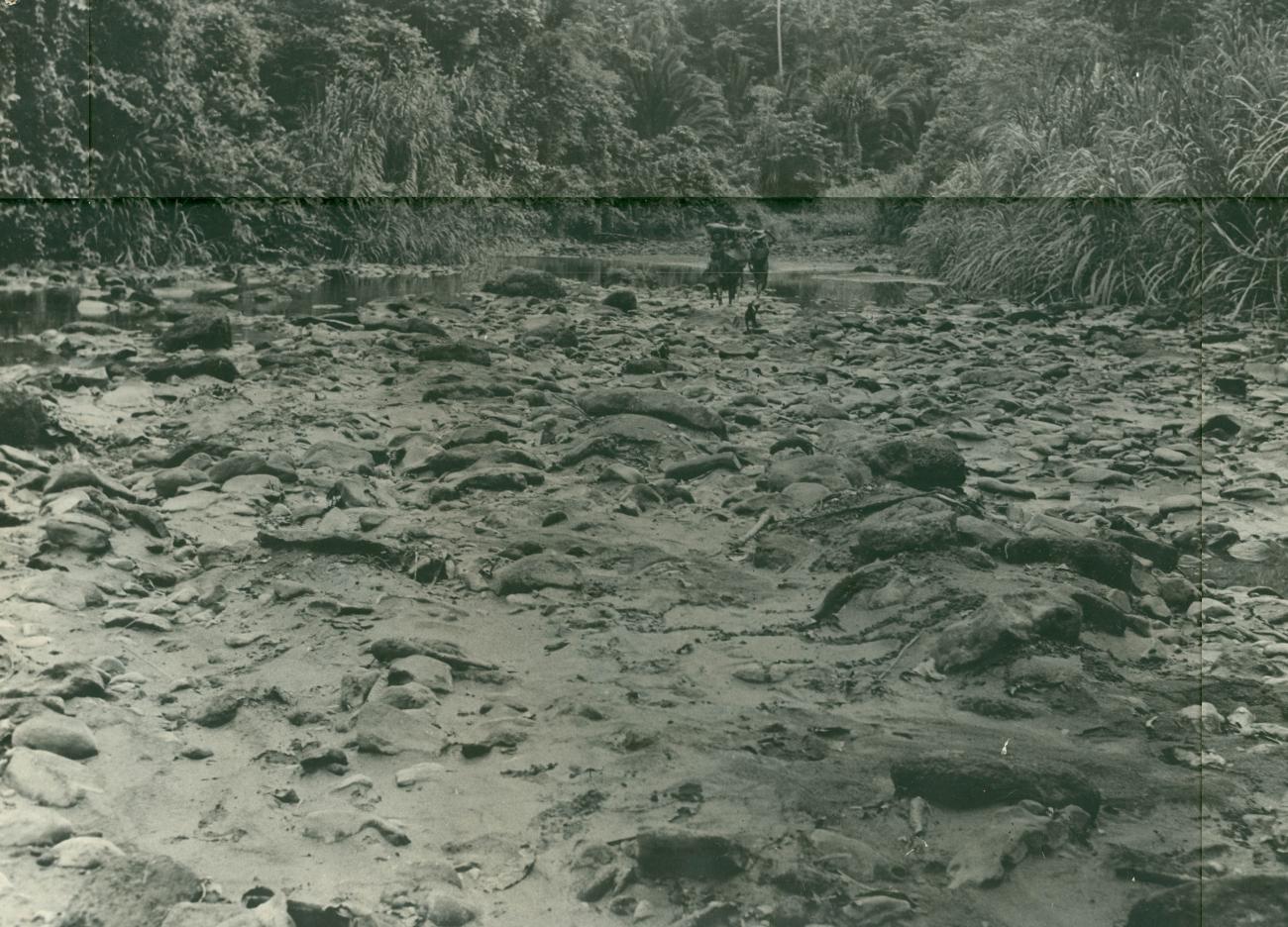 BD/40/93 - 
Drooggevallen rivierbedding

