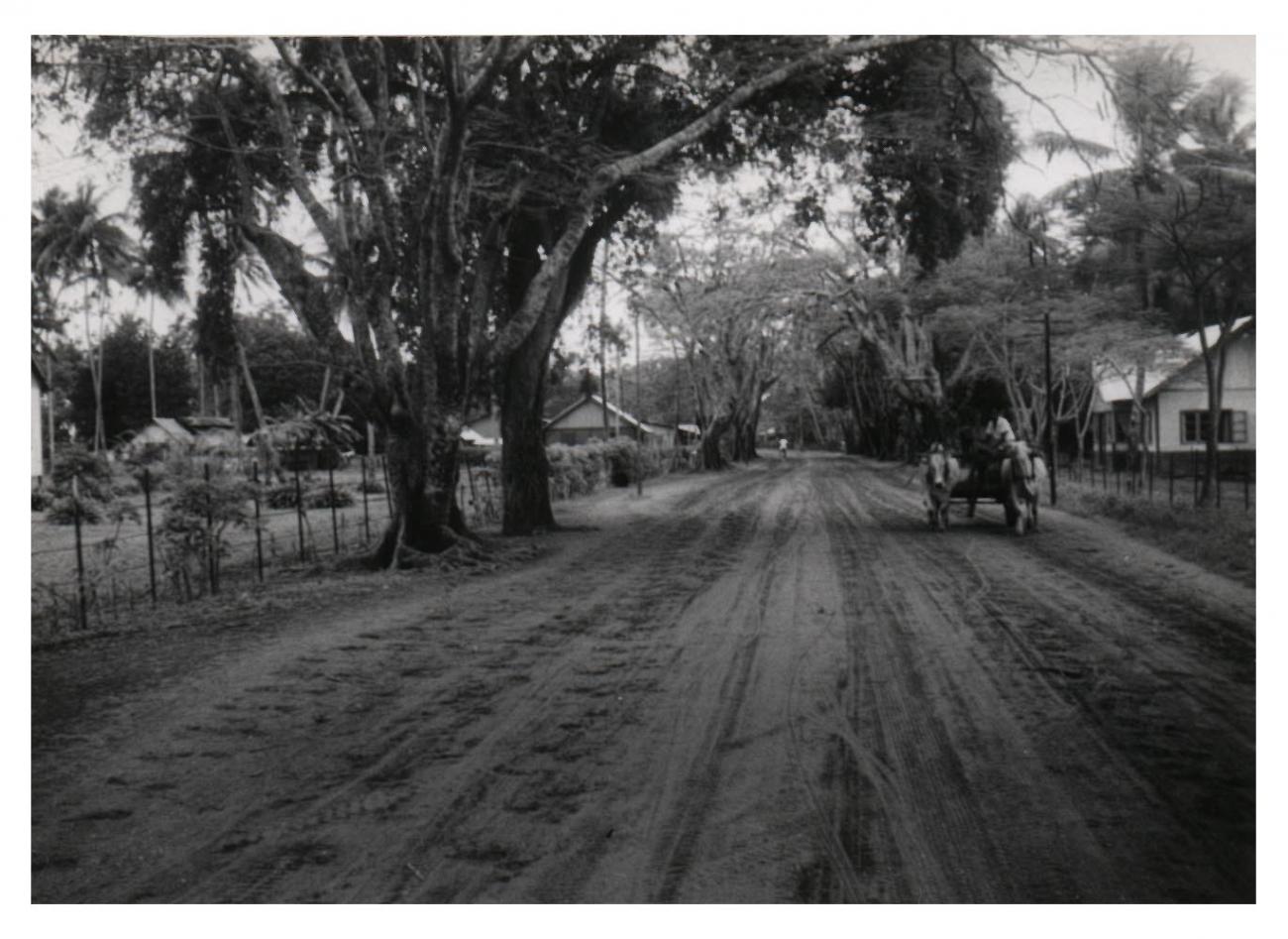 BD/54/39 - 
Merauke, unpaved road with cart
