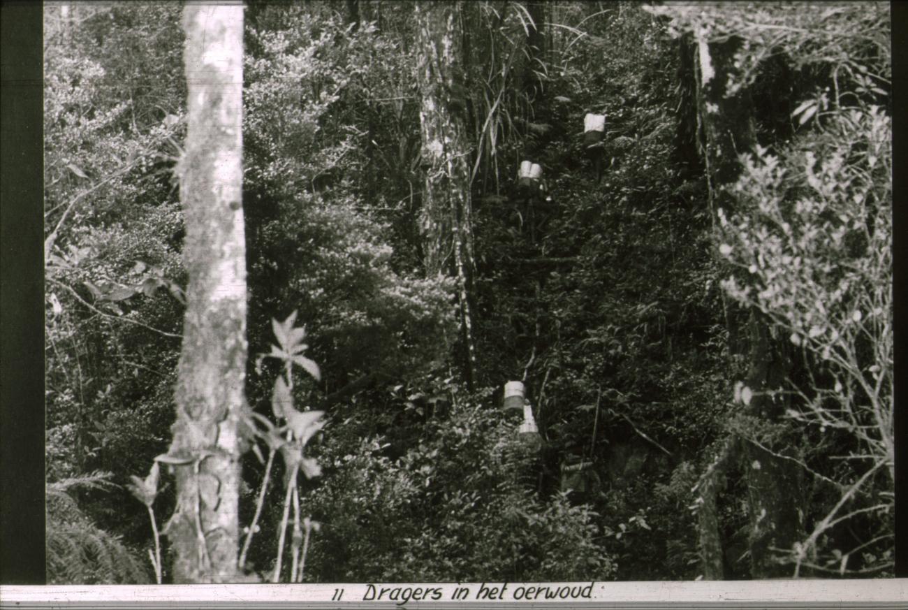 BD/186/78 - 
Dragers in het oerwoud
