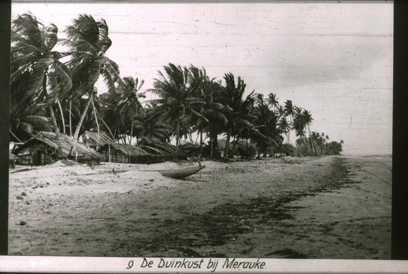BD/186/82 - 
De duinkust bij Merauke
