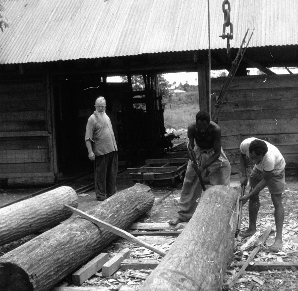 BD/216/100 - 
De eerste houtbewerking van stammen met een bijl in de zagerij 
