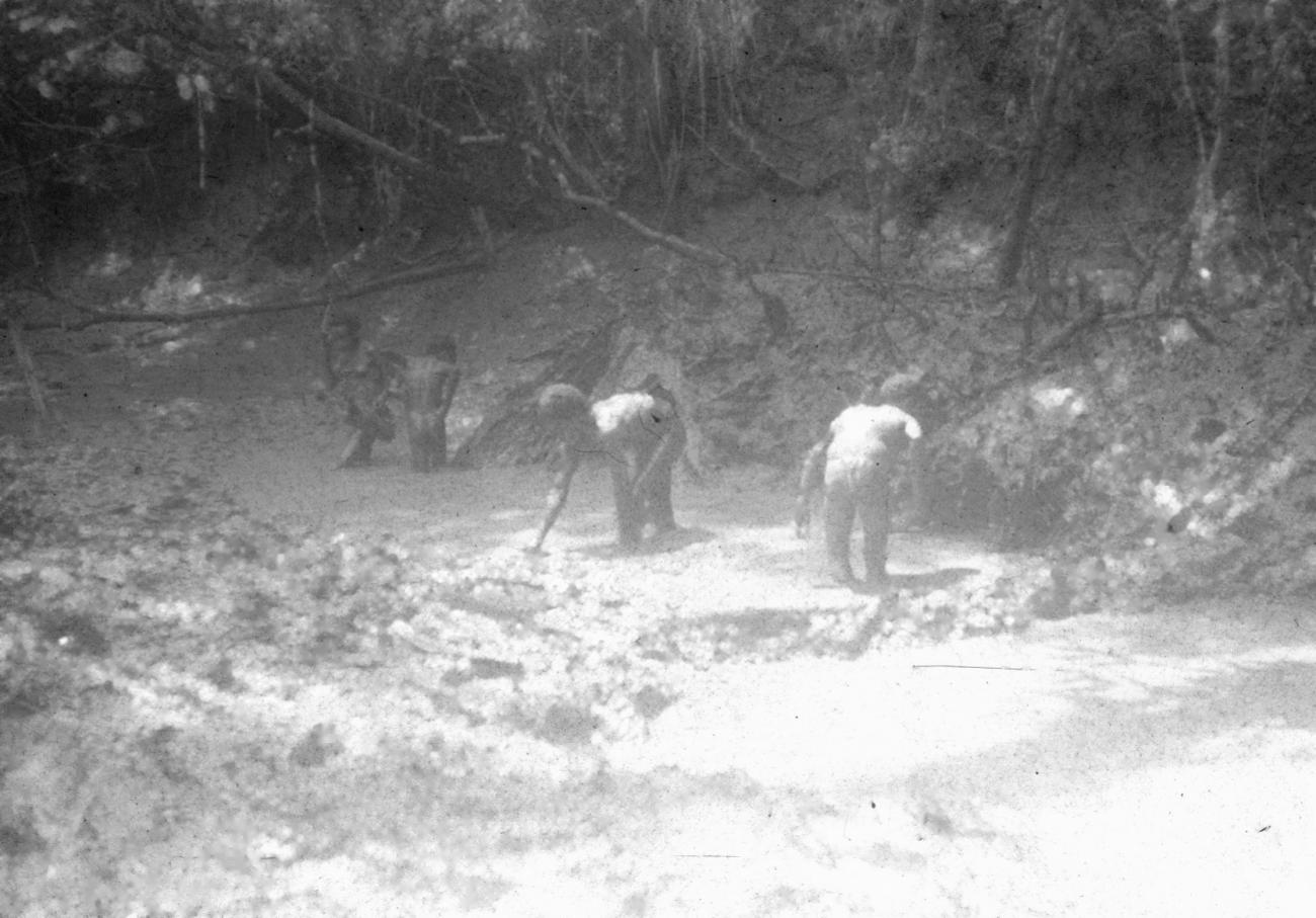 BD/216/171 - 
Asmatvrouwen zoekend naar rivierkreeftjes in een stroompje
