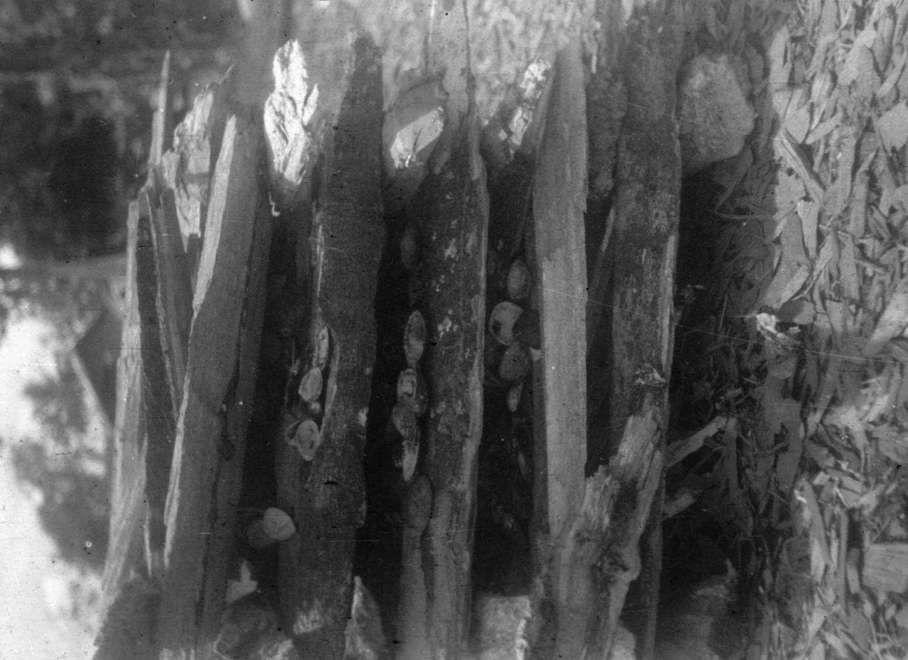 BD/216/1 - 
Stapel brandhout voor het branden van schelpen tot kalk
