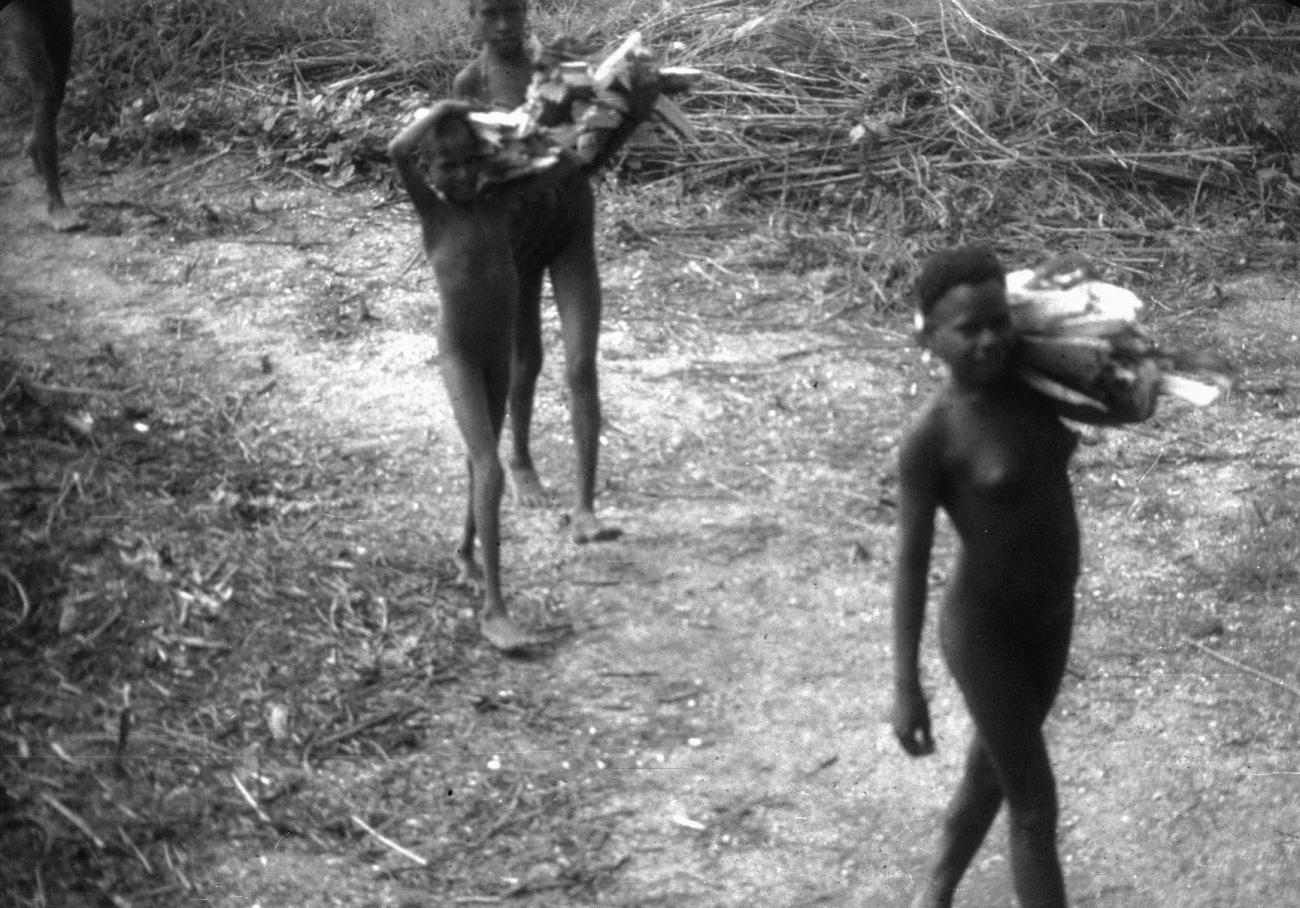 BD/216/220 - 
Kinderen onderweg met gekapt brandhout  
