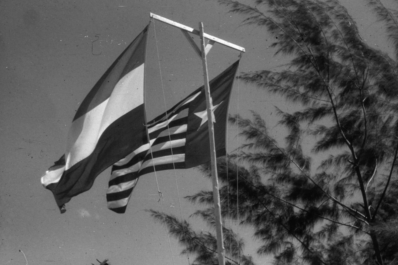 BD/216/293 - 
De Nederlandse en Papuavlag aan vlaggenmast
