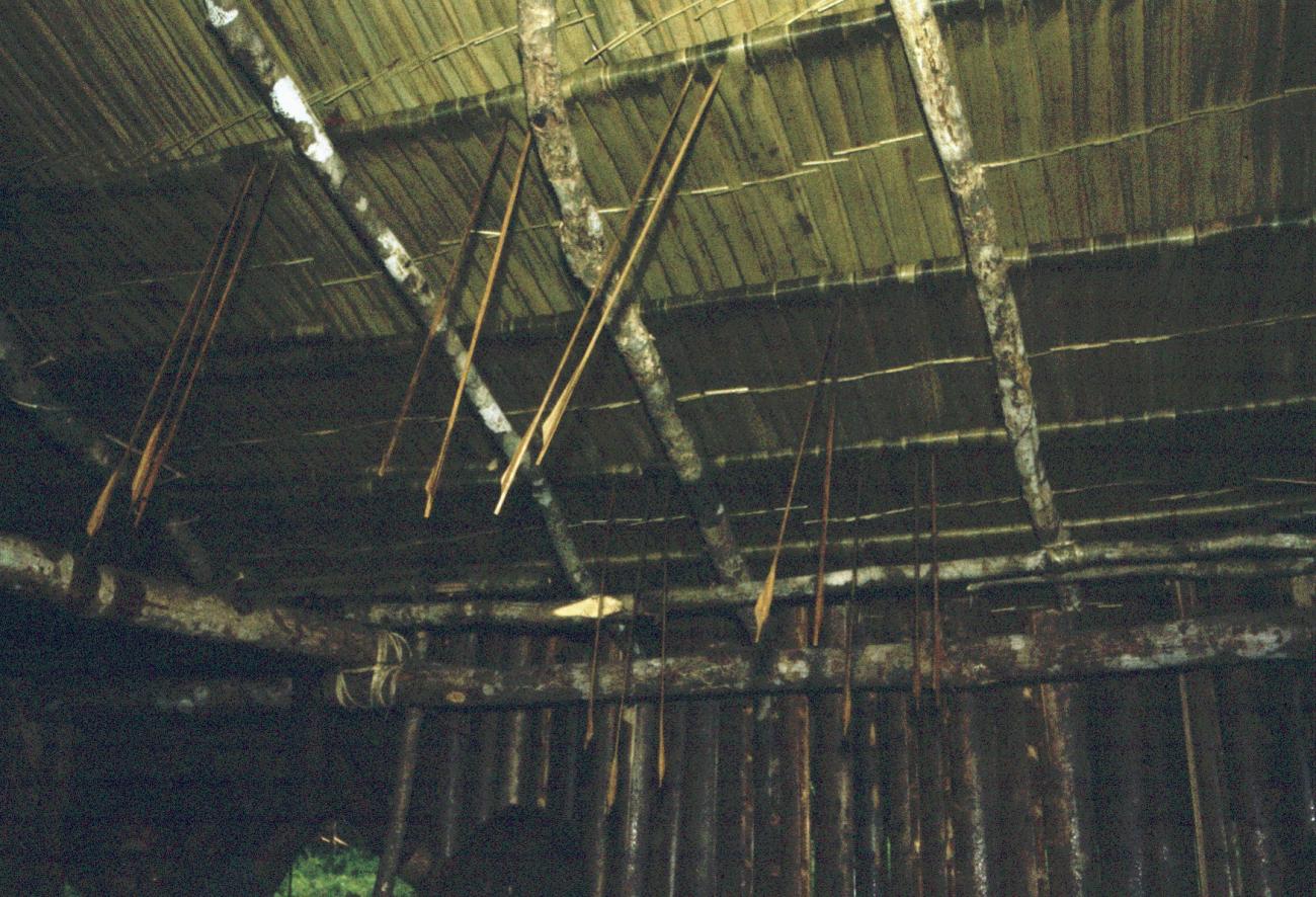 BD/216/352 - 
Pijlen in het dak geschoten bij ritueel adoptie in het dorp Yab-Tambor
