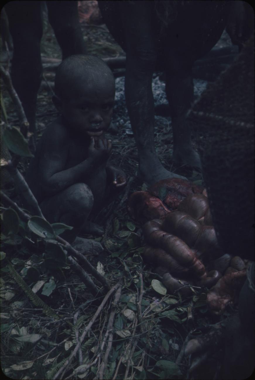 BD/248/135 - 
Portret van een zittend kind
