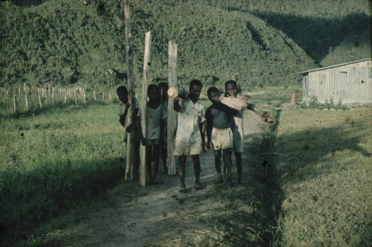 BD/248/157 - 
Groepje jeugdige Papoea&#039;s
