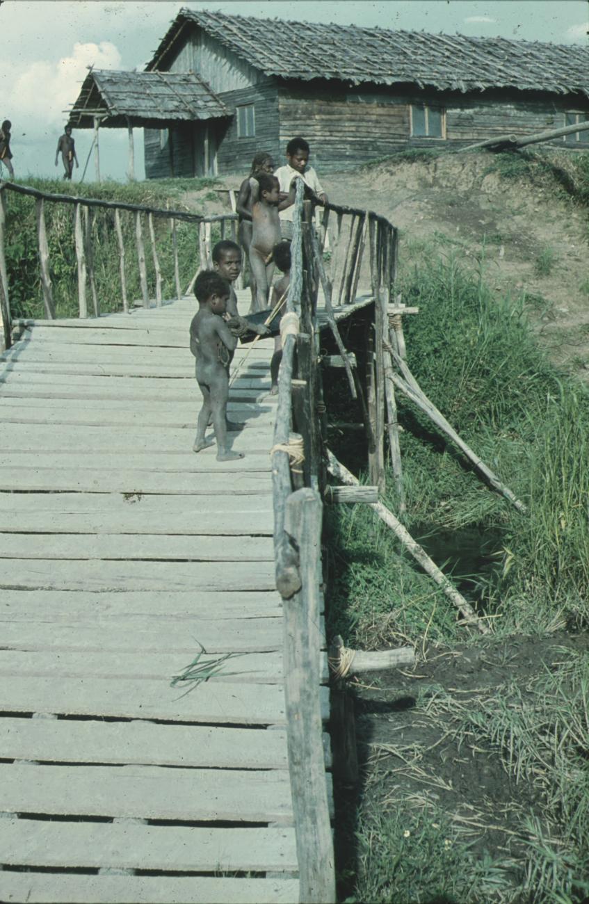 BD/248/264 - 
Kinderen op brug (Pineke)
