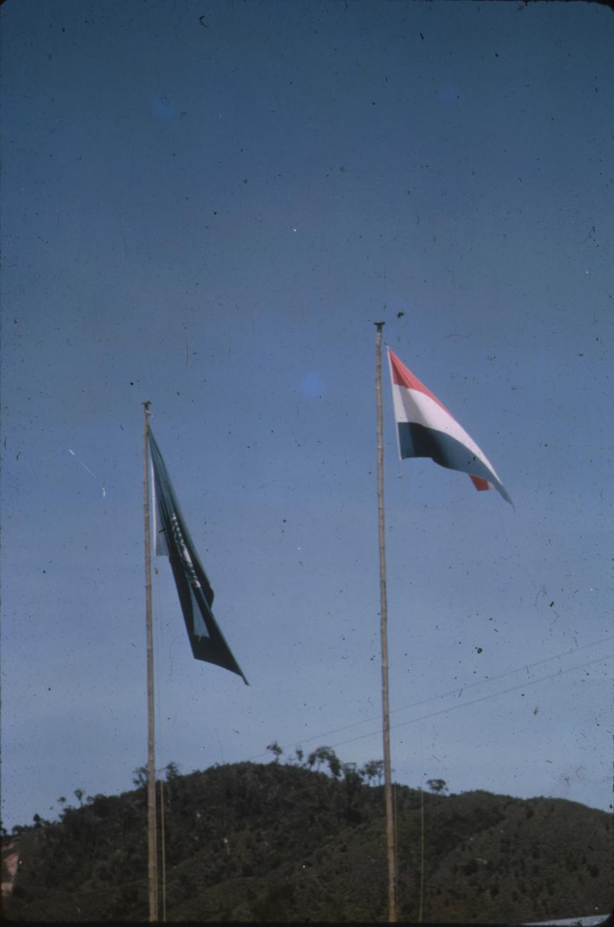 BD/248/331 - 
Vlaggen
