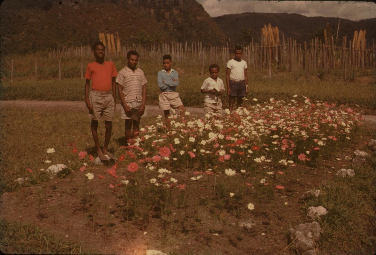 BD/248/350 - 
groepsfoto van jongens in een bloemenveldje
