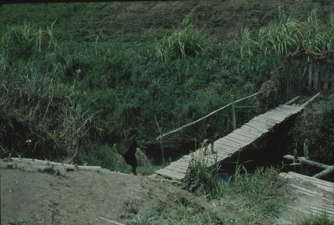 BD/248/37 - 
Een brug over het water
