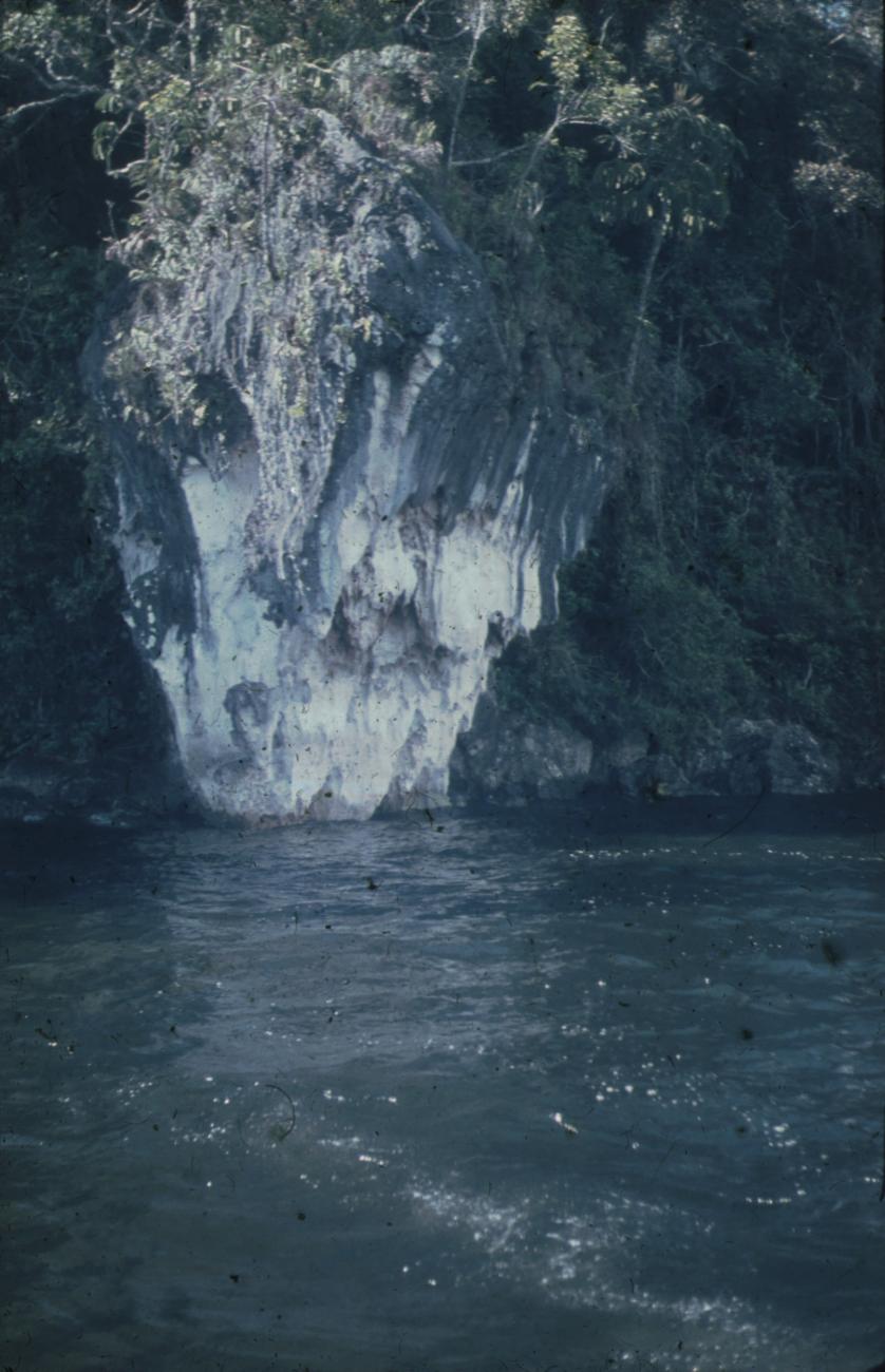 BD/248/81 - 
Grillige rotsformatie in het water

