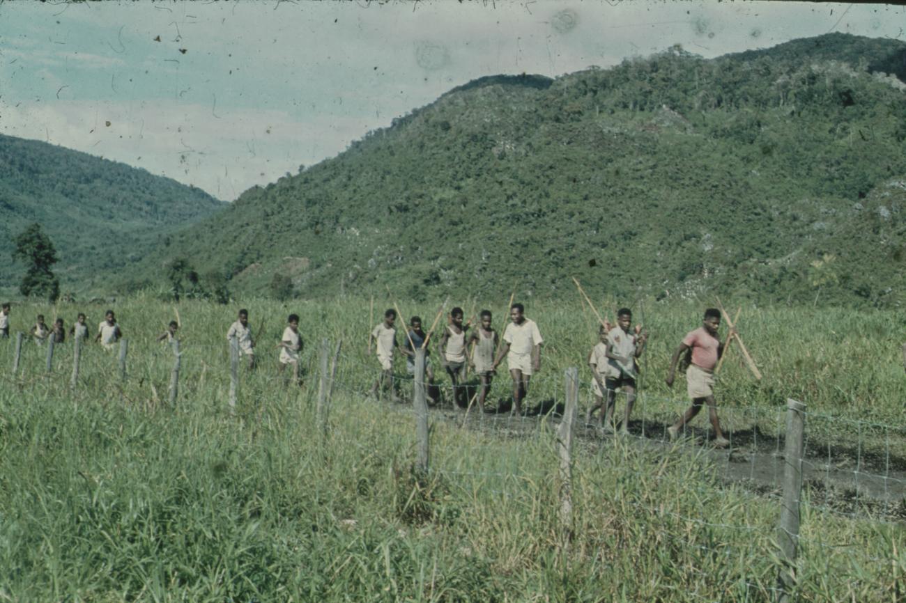 BD/248/98 - 
Groep jeugdige Papoea&#039;s met stokken onderweg

