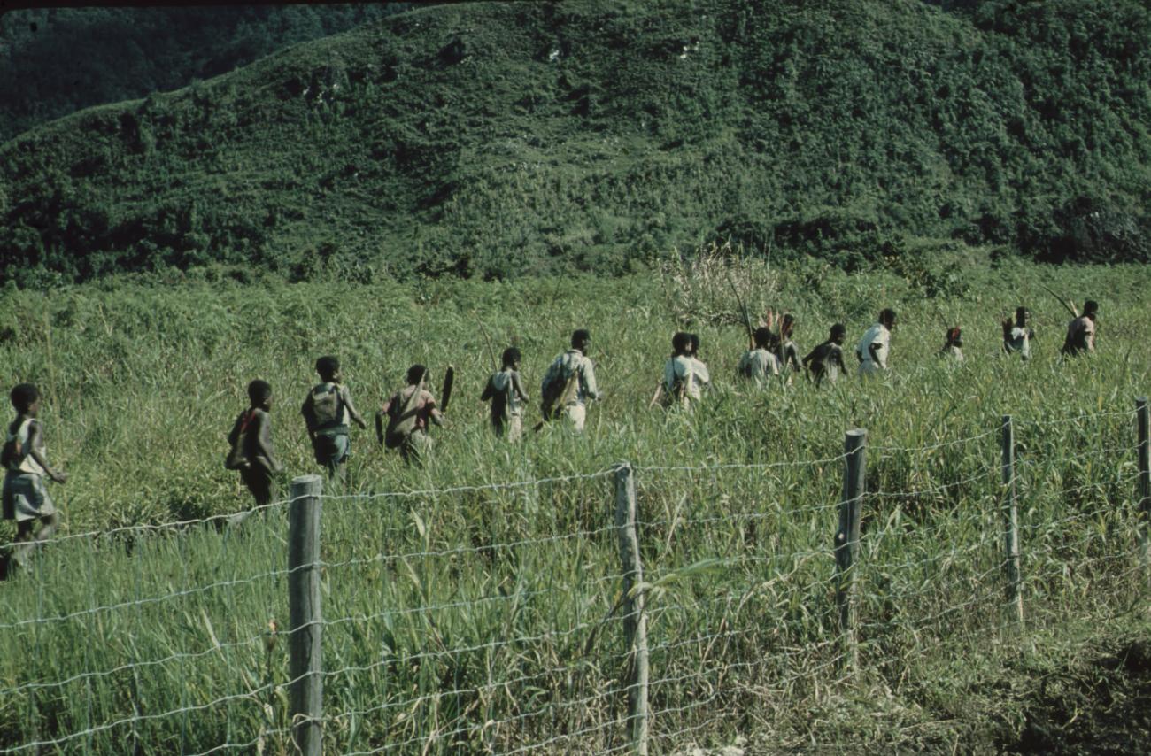 BD/248/99 - 
Groep jeugdige Papoea&#039;s met stokken onderweg
