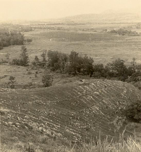 BD/269/24 - 
Landschap in de Baliem-vallei
