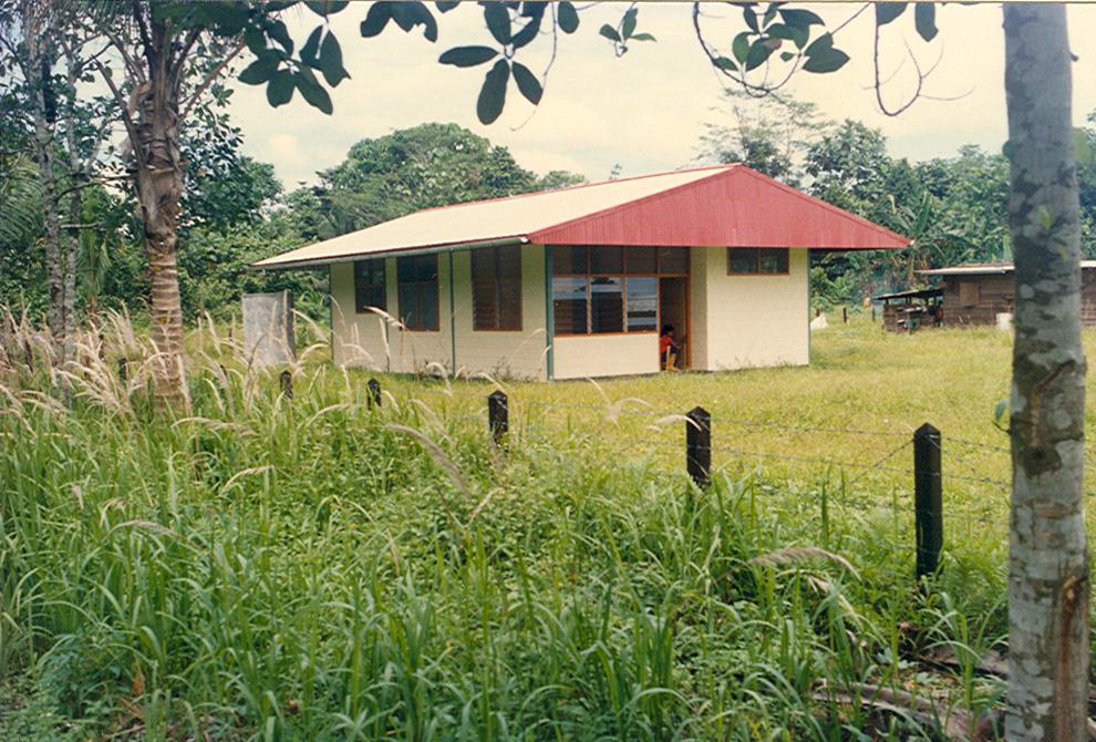 BD/269/87 - 
Schilderwerkzaamheden aan de nieuw gebouwde school in Timika
