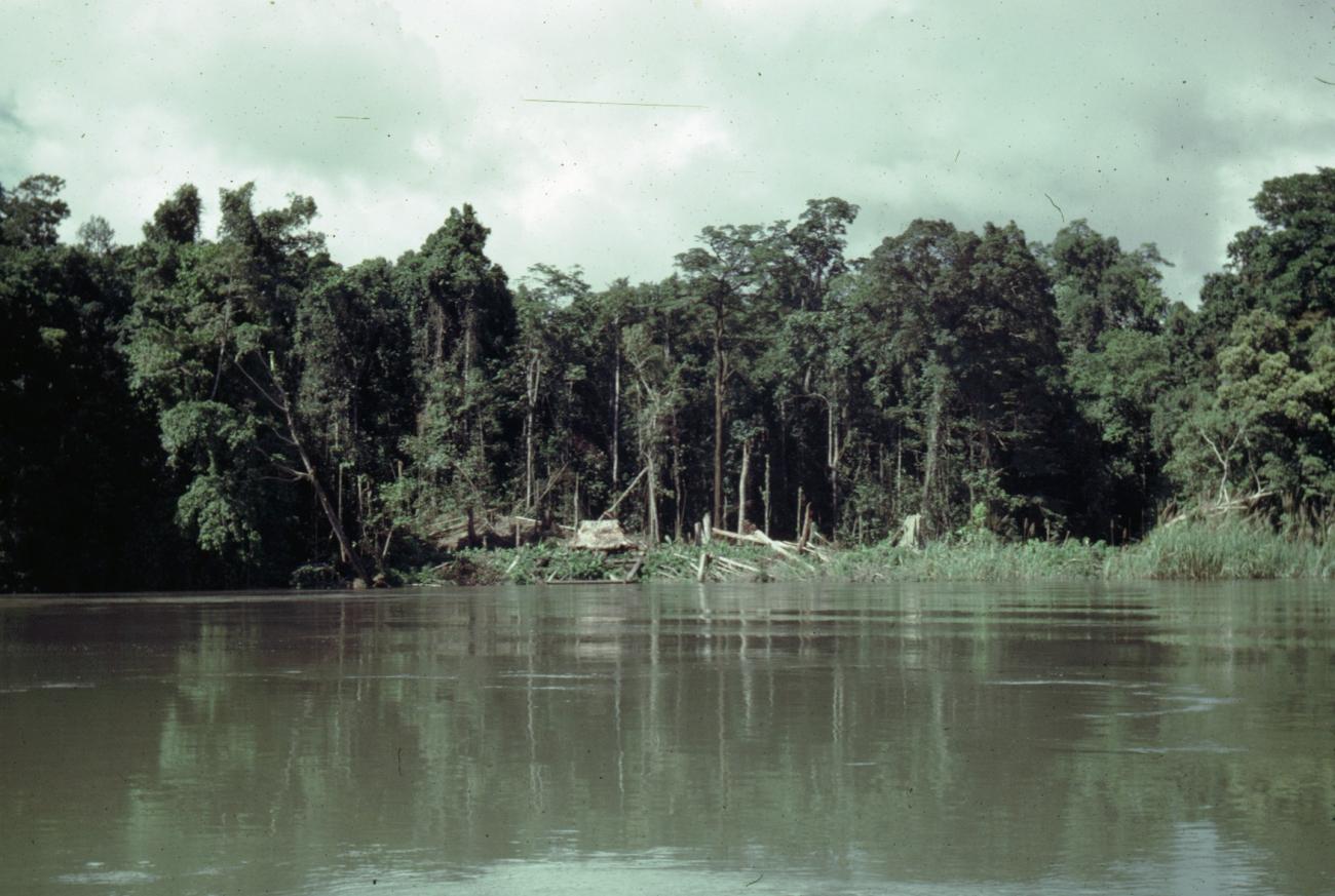 BD/289/84 - 
Gezicht op rivieroever met bomenkap
