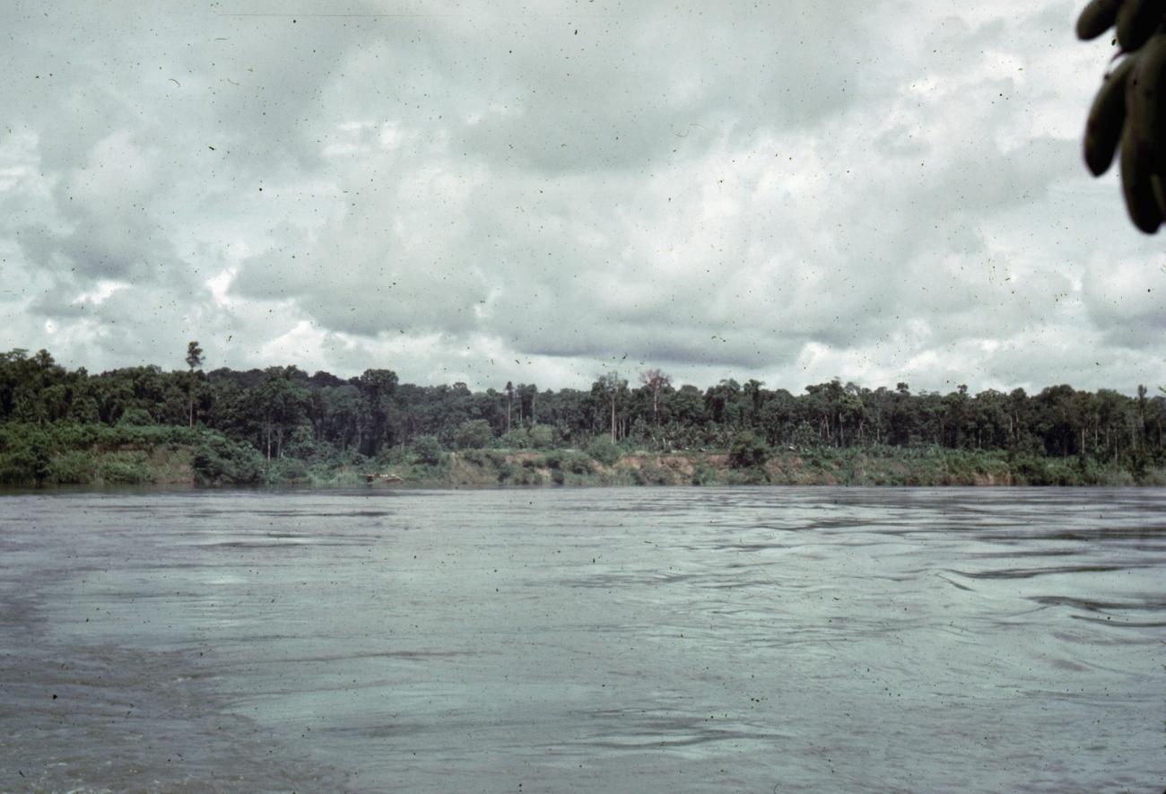BD/289/91 - 
Foto vanaf schip van oever rivier 
