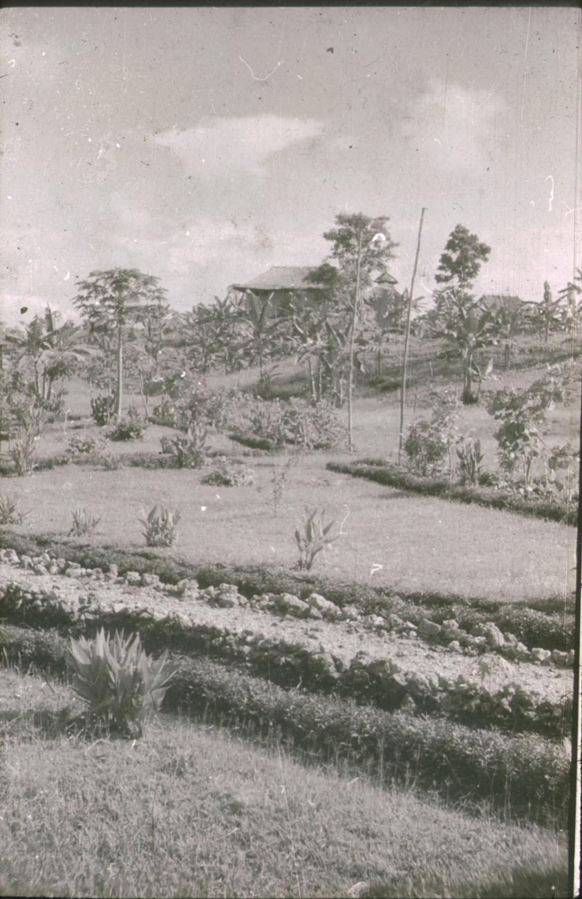 BD/309/217 - 
Landschap met het terrein van de Jongens Vervolgschool JVVS in Teminabuan
