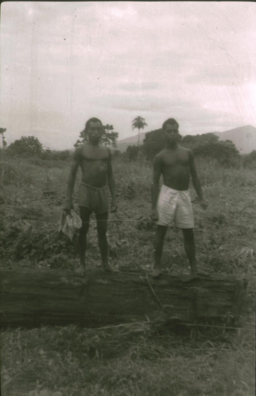 BD/309/301 - 
Twee mannen op boomstam, klaar om weg te slepen ten behoeve van akkerbouw
