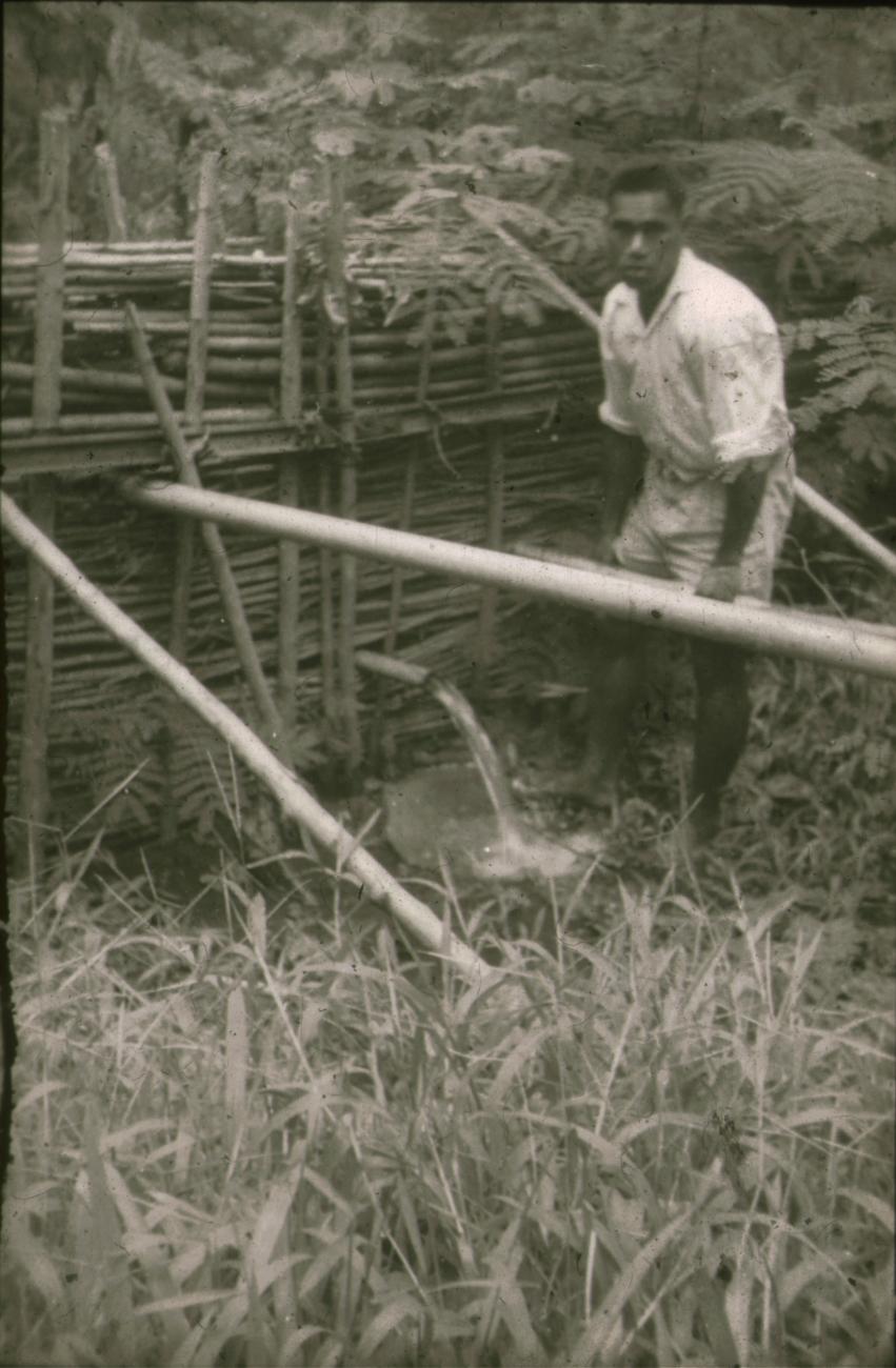 BD/309/311 - 
Bevloeiing van cacaoplantage uit een waterbassin
