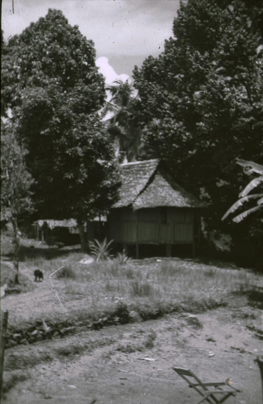 BD/309/371 - 
Dorpsgezicht van het dorp Wersar met paalwoning

