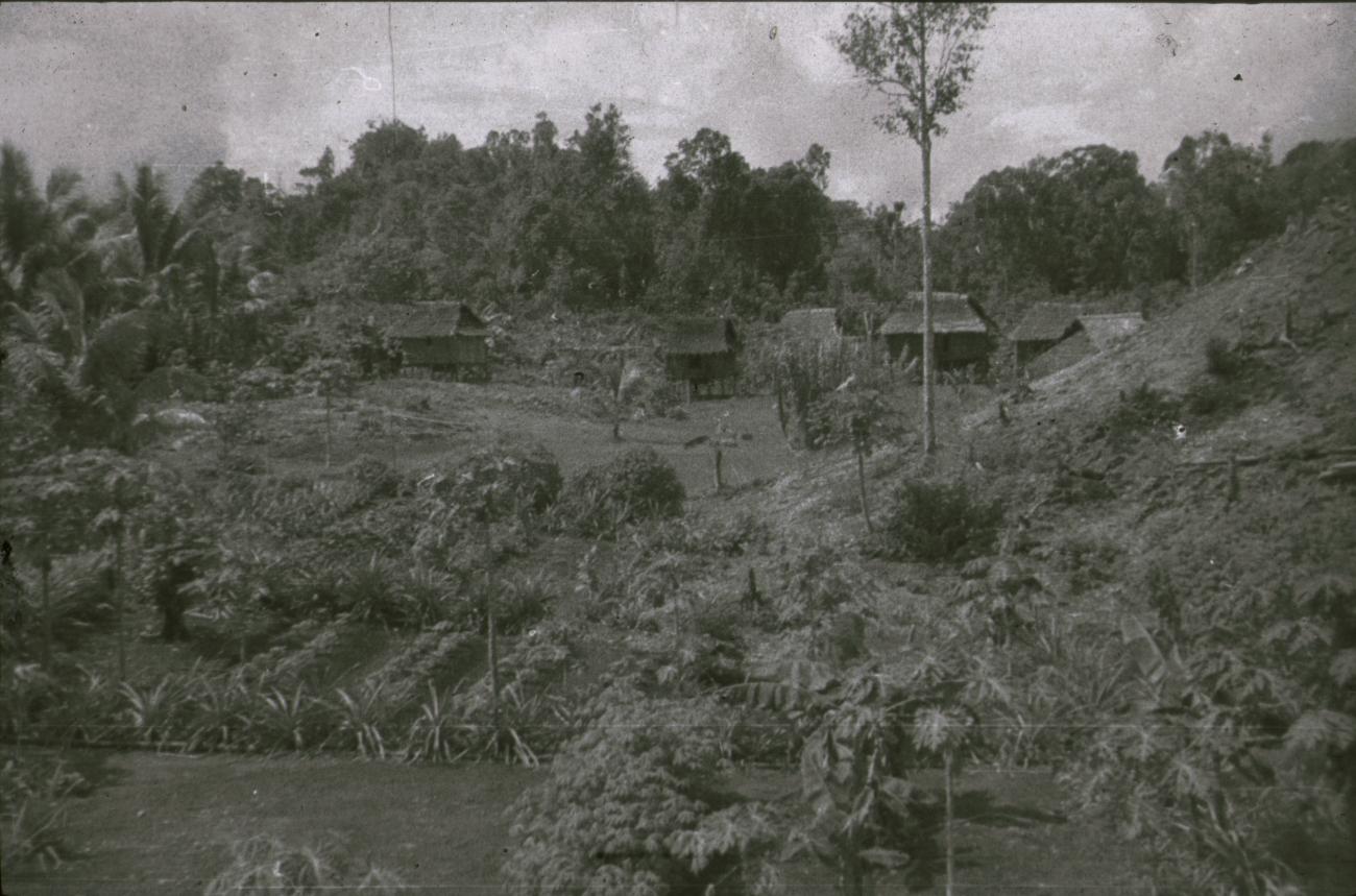 BD/309/382 - 
Dorpsgezicht met akker en paalwoningen van het dorp Susumuk
