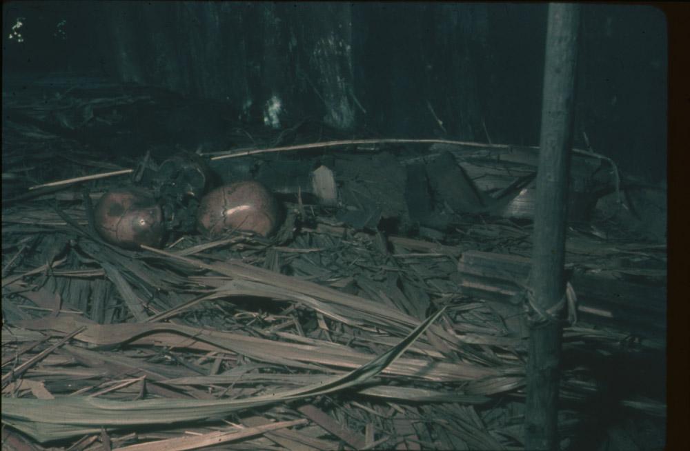 BD/30/44 - 
Skulls on the floor of a house
