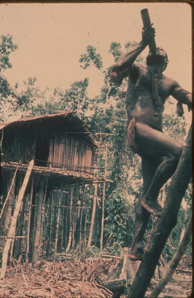 BD/30/46 - 
Asmat man in mourning cloths blows a horn in front of a stilt house
