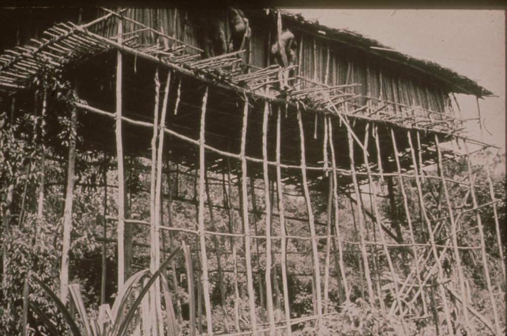 BD/30/49 - 
Papua inhabitants upstairs at the stilt house
