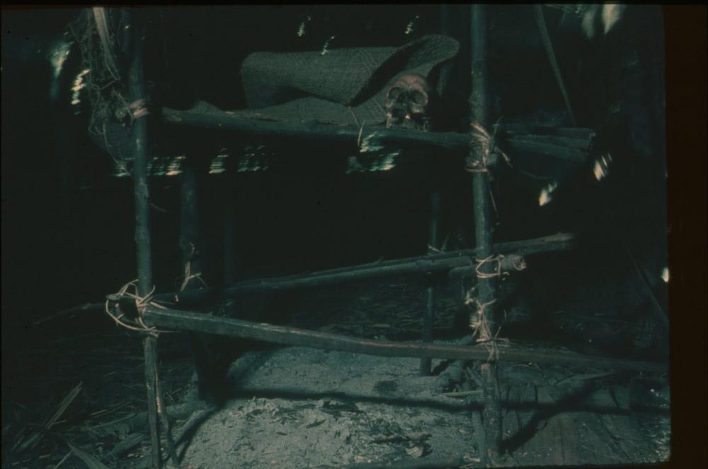 BD/30/53 - 
Schedel op houten stellage
