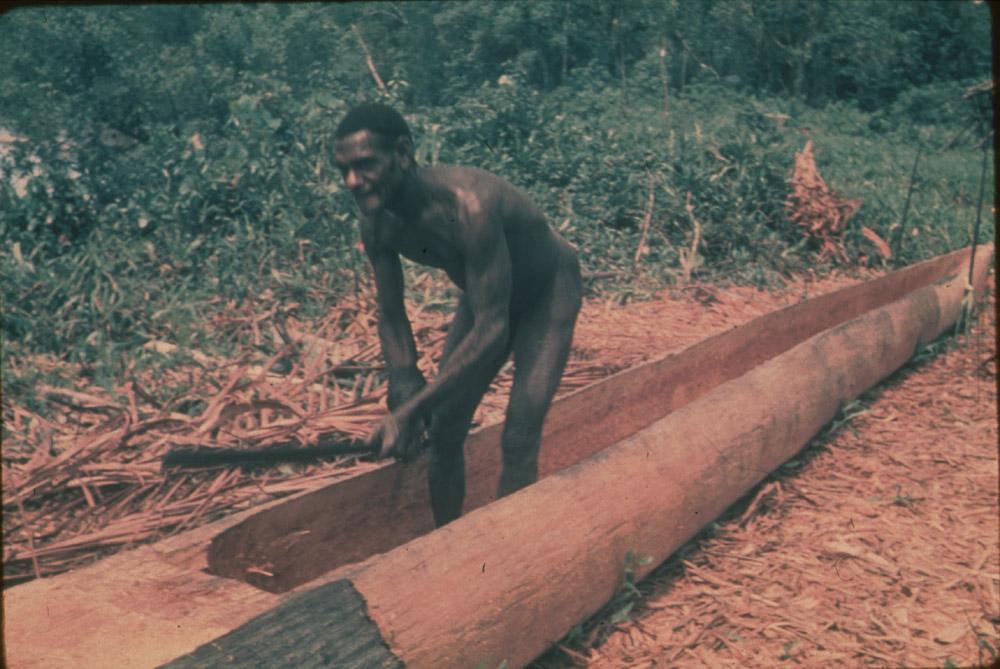 BD/30/54 - 
Asmat man carves a tree trunk into a prau with his machette
