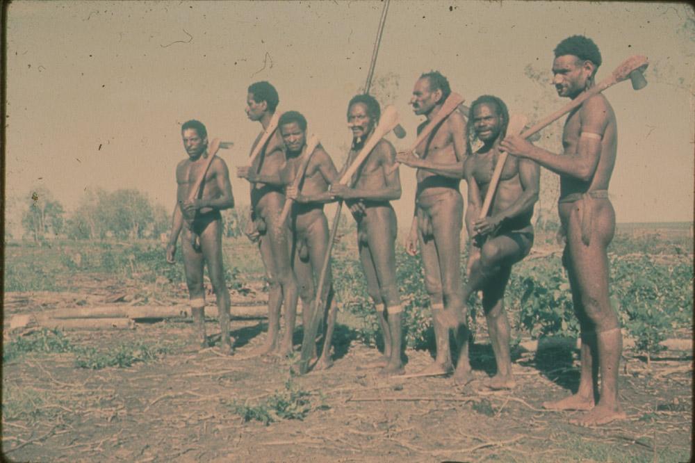 BD/30/56 - 
Group of Asmat men with stone axes and a man with a spear
