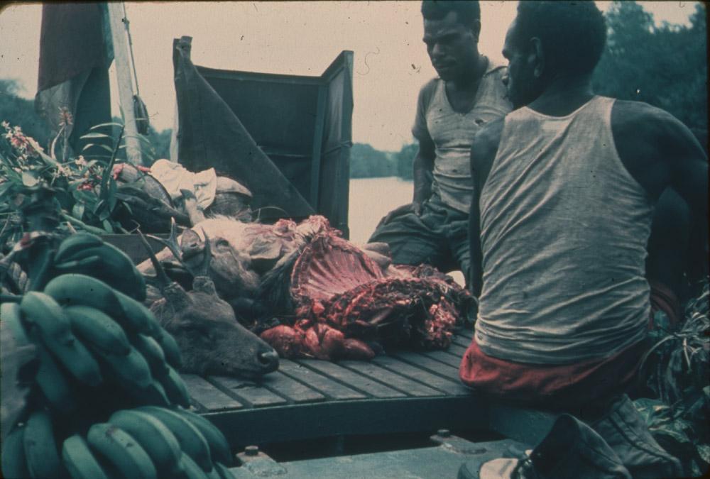 BD/30/58 - 
Asmatmannen op vlonder bij rivier met hertenkop, vlees en fruit

