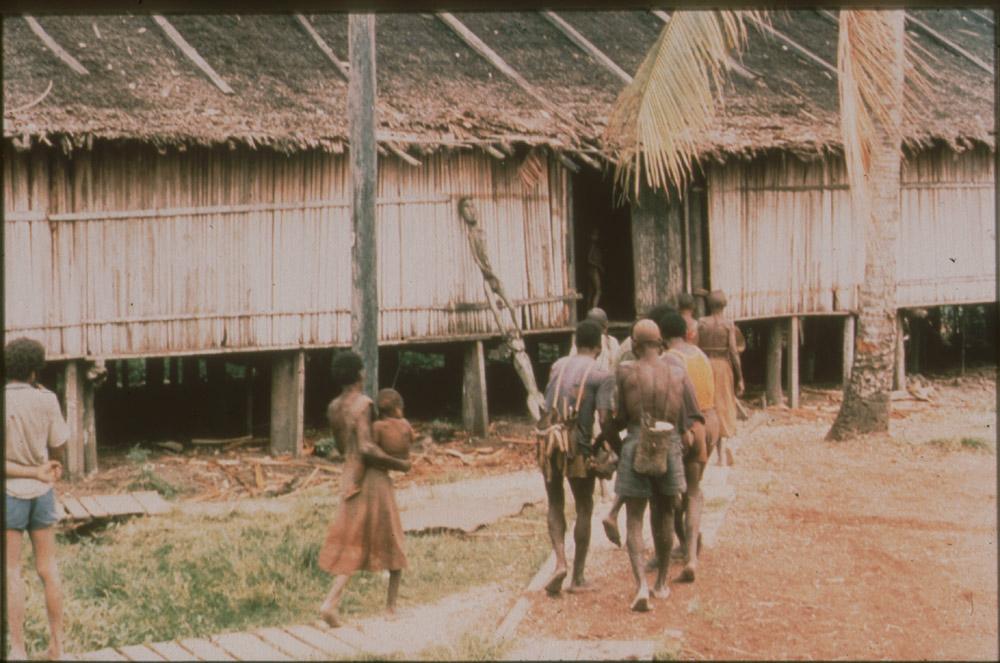 BD/30/77 - 
Group of Asmat people carrying an animal to the men&#039;s house
