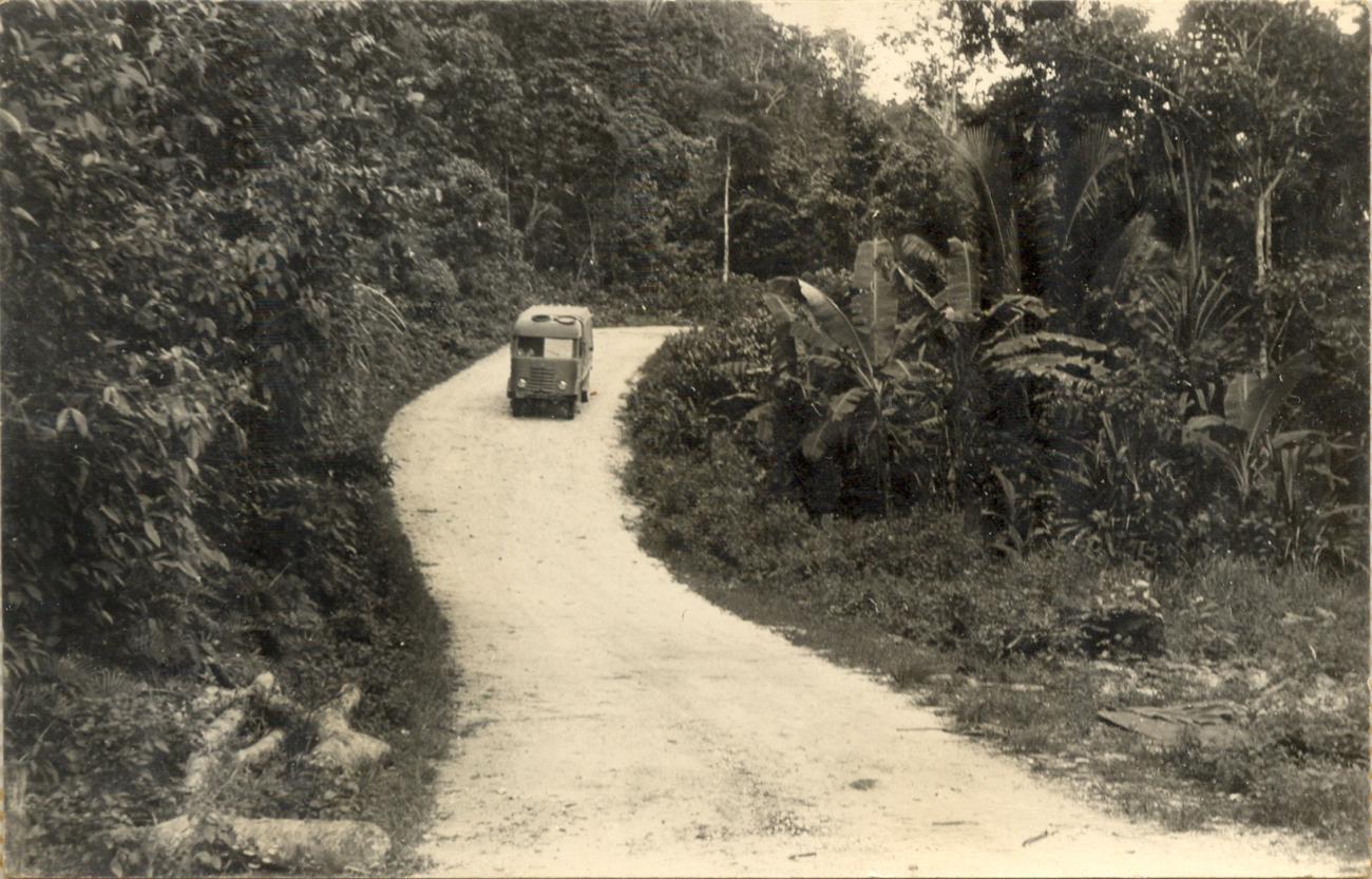 BD/318/14 - 
Truck rijdend op weg door het oerwoud

