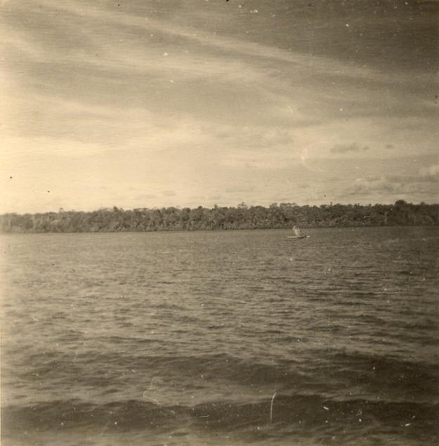 BD/318/51 - 
Foto van kust vanaf een schip
