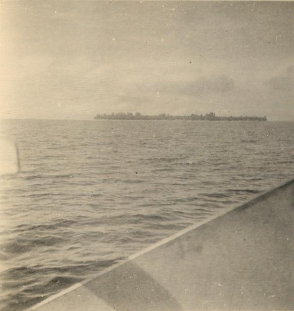 BD/318/83 - 
Foto van eiland genomen vanaf schip op Sentani-meer

