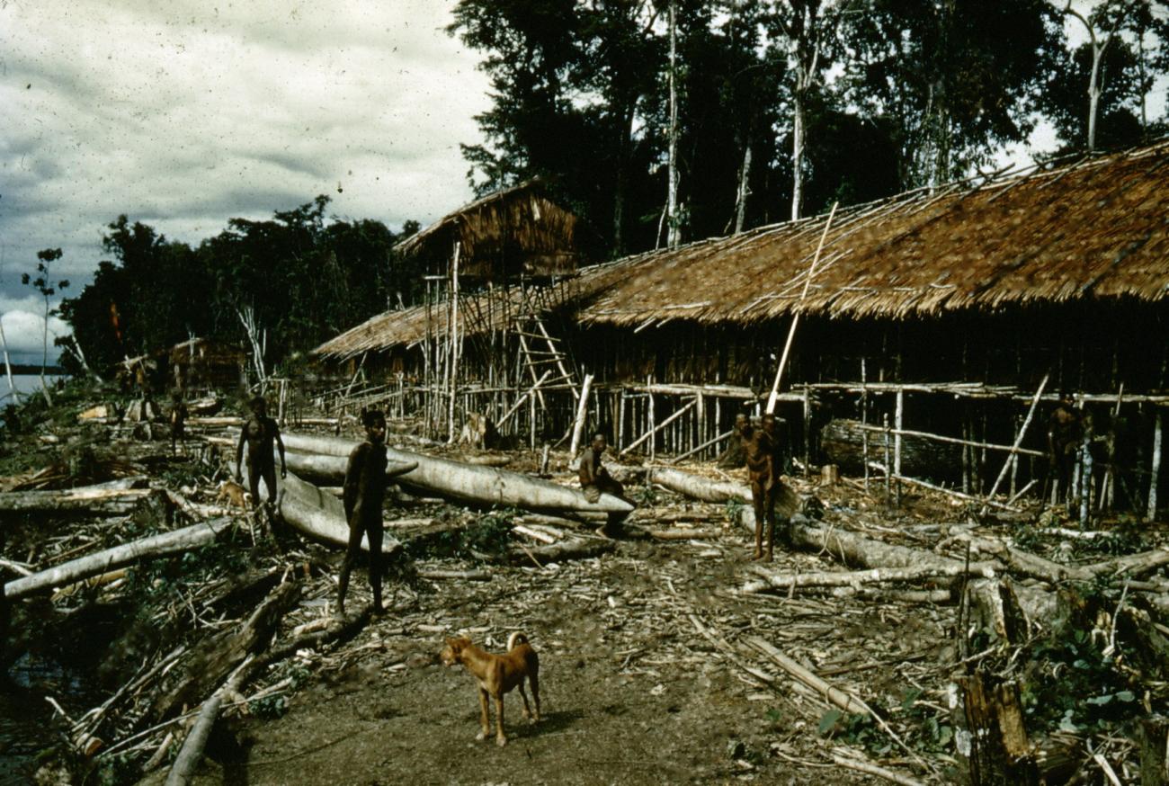 BD/66/238 - 
Huizen aan rivier in Zuid Nieuw Guinea
