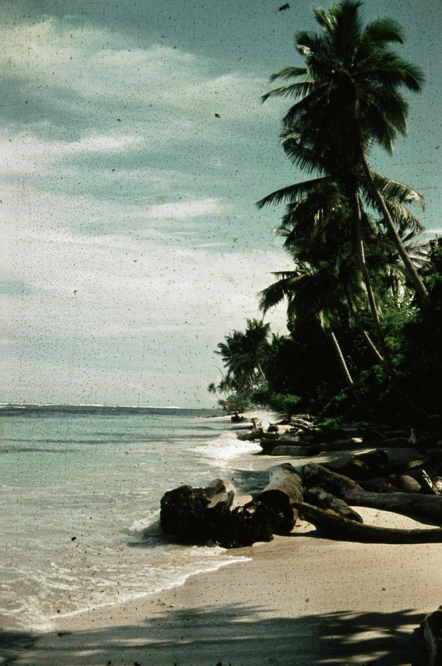 BD/66/243 - 
Strand met palmbomen
