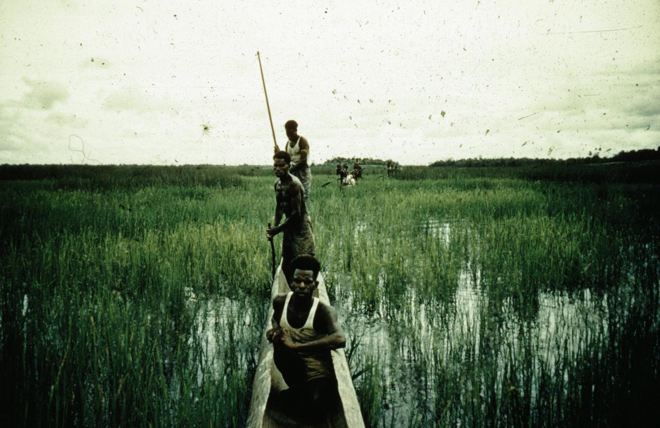 BD/66/254 - 
Mannen in prauw in moerasgebied in Zuid Nieuw Guinea
