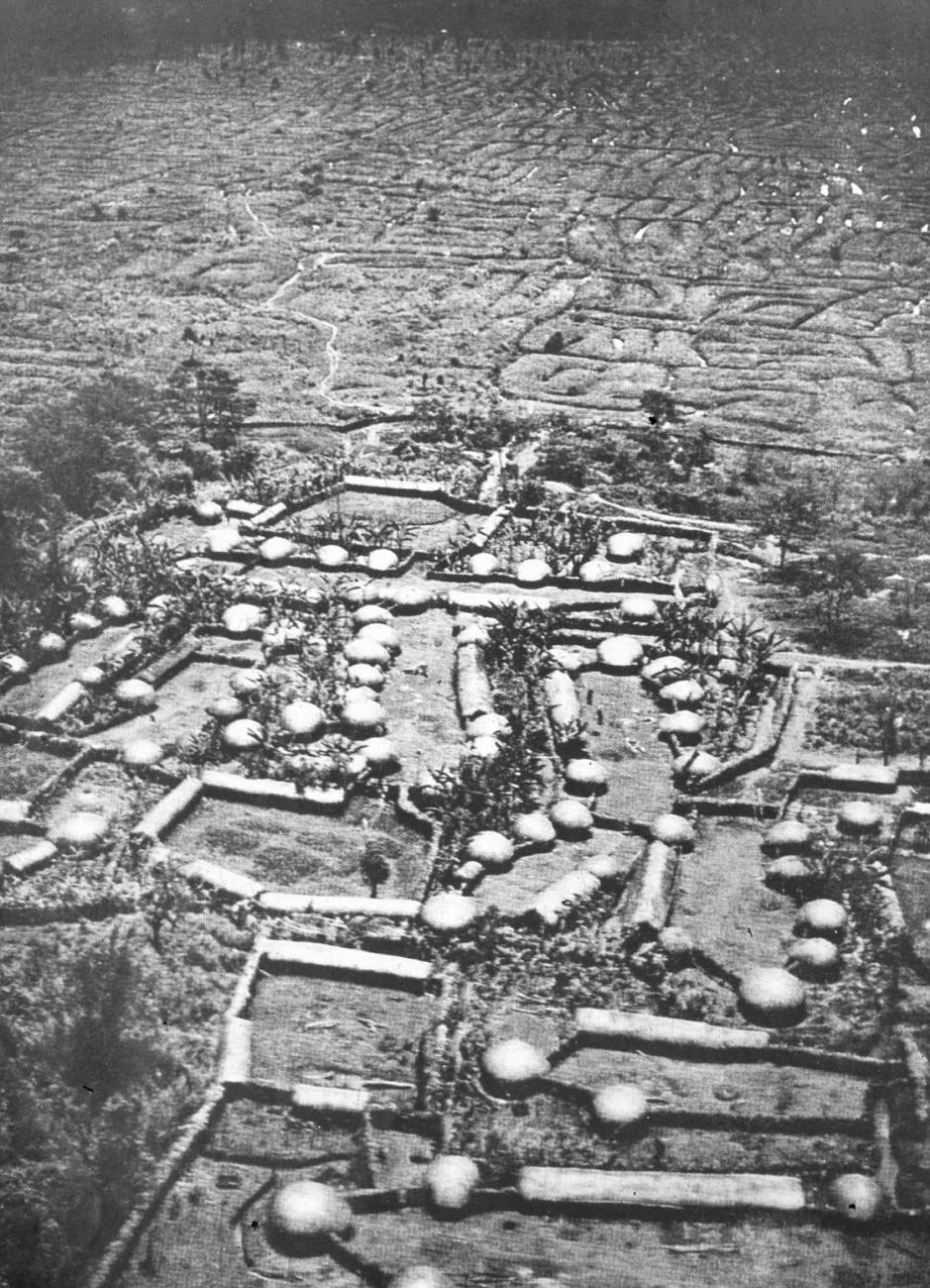 BD/66/429 - 
Luchtopname van een grote nederzetting en omliggende tuinen in de Baliemvallei
