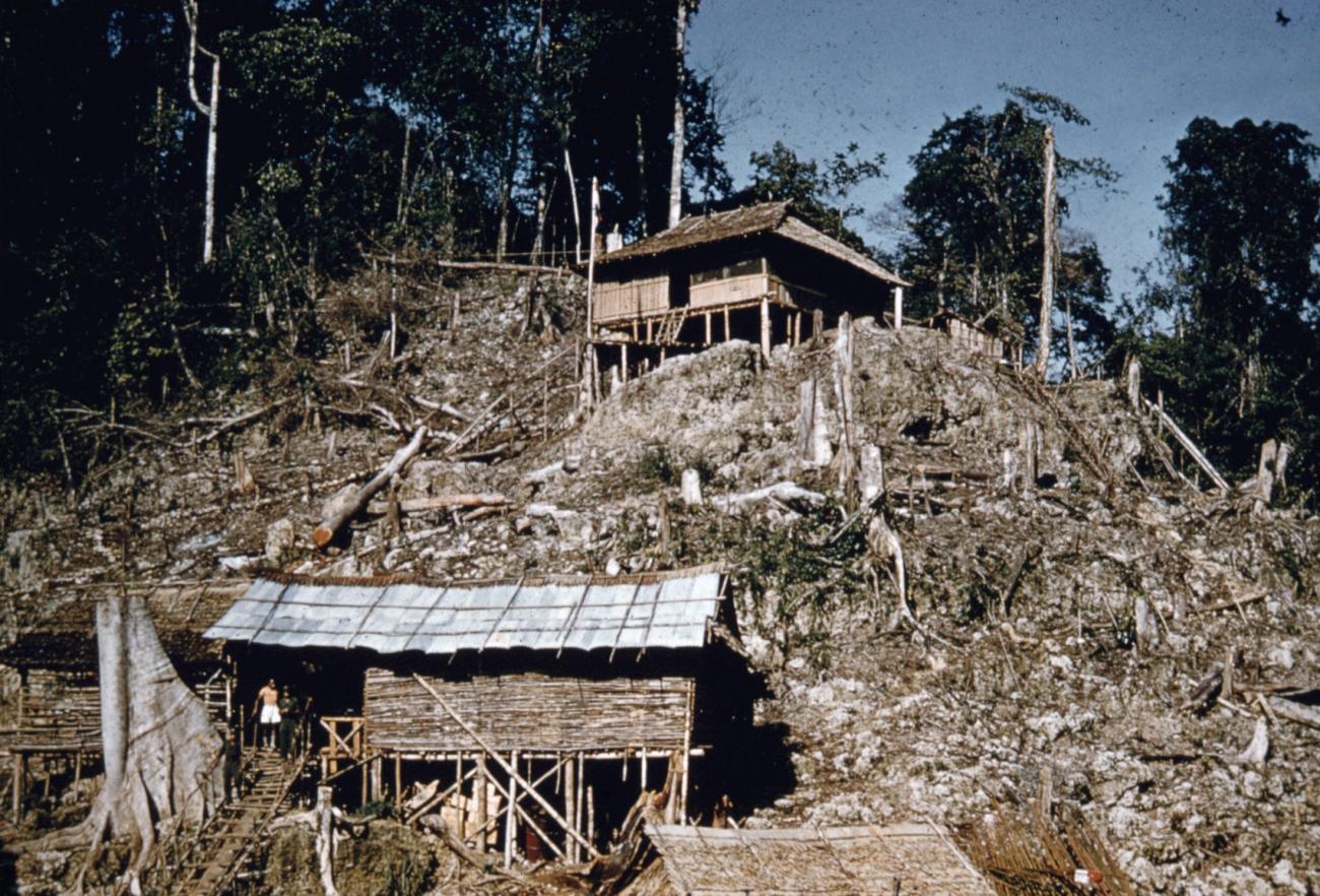BD/66/56 - 
Houses on deforested slopes
