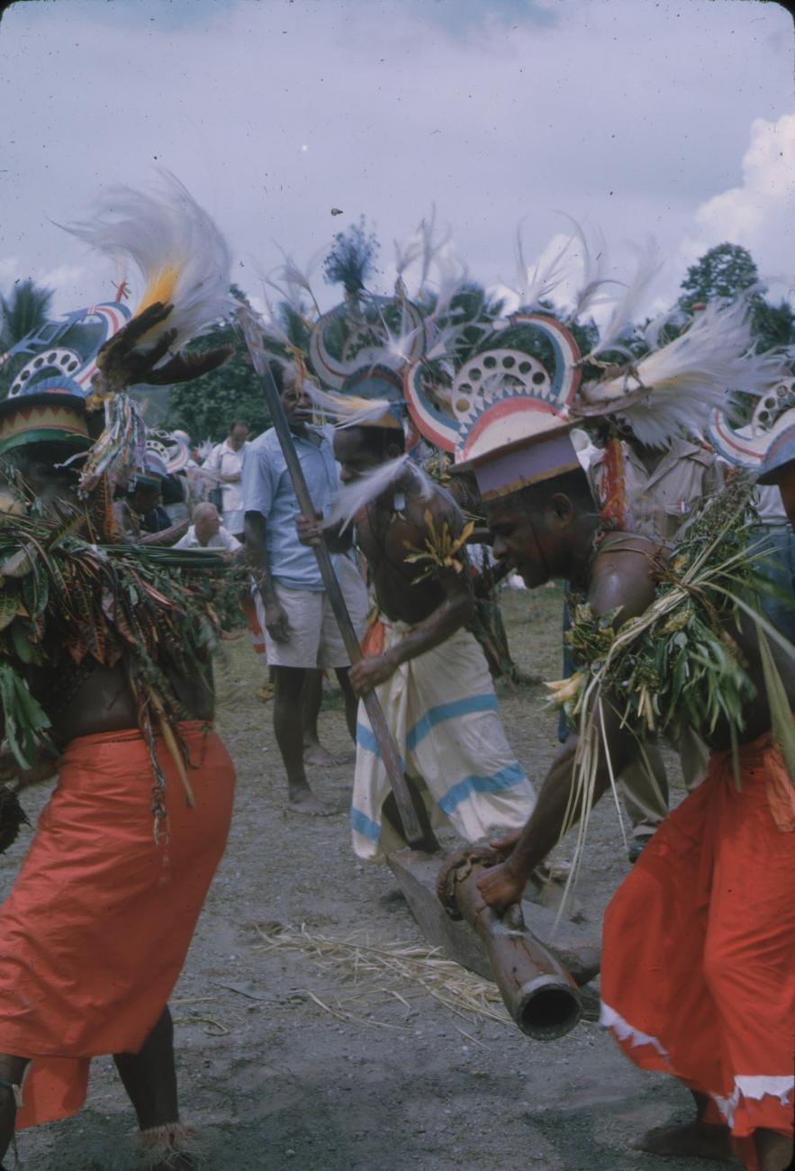 BD/171/125 - 
Festiviteit, papoea&#039;s in traditionele kleding.
