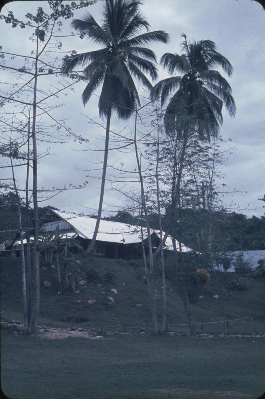 BD/171/15 - 
Westerse woning op heuvel met palmbomen.
